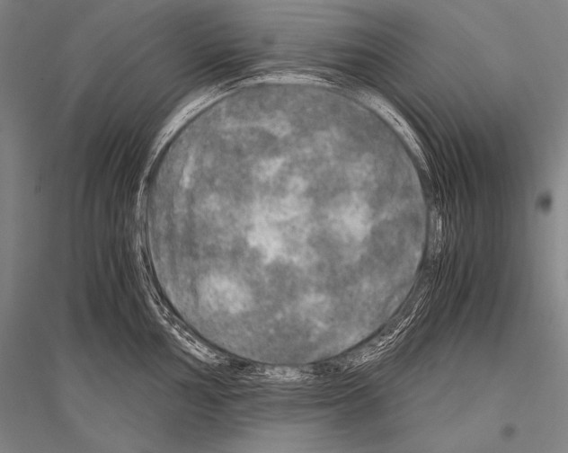 X0000116801002201001291536