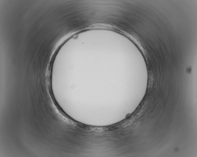X0000116801003201001291536
