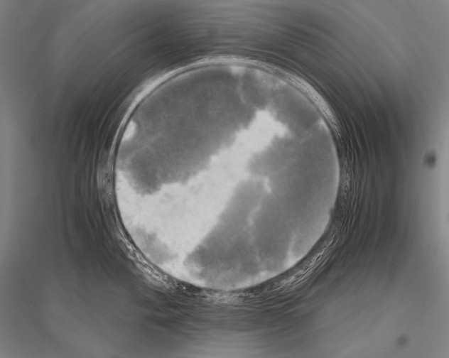 X0000116801004201001291536