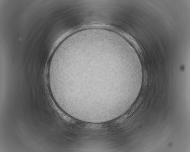 X0000116801006201001291536