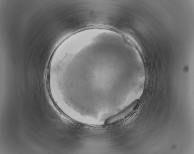X0000116801007201001291536