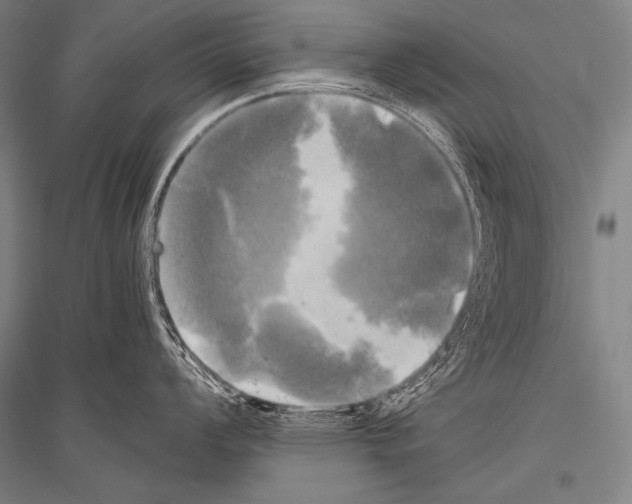 X0000116801008201001291536