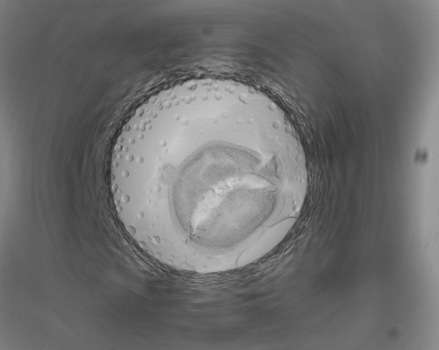 X0000116801009201001291535