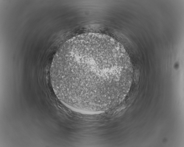 X0000116801010201001291535