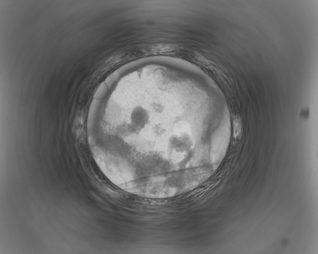 X0000116801011201001291535