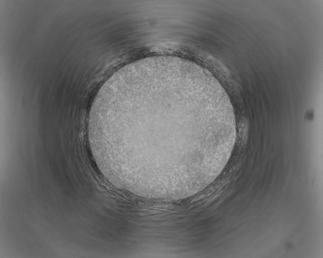 X0000116801012201001291535