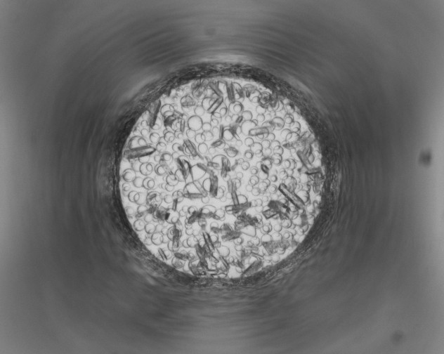 X0000116801014201001291535