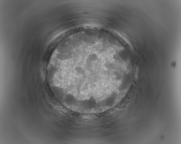 X0000116801015201001291535