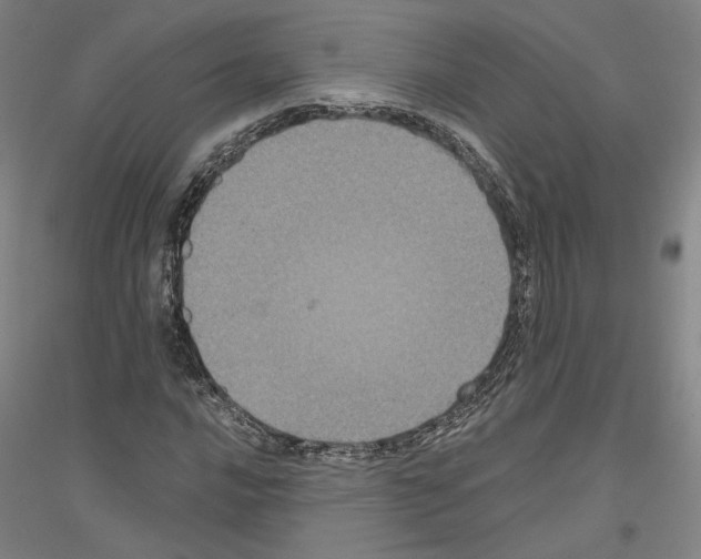 X0000116801016201001291535