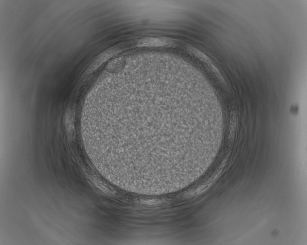 X0000116801017201001291535