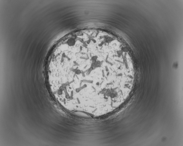 X0000116801018201001291535
