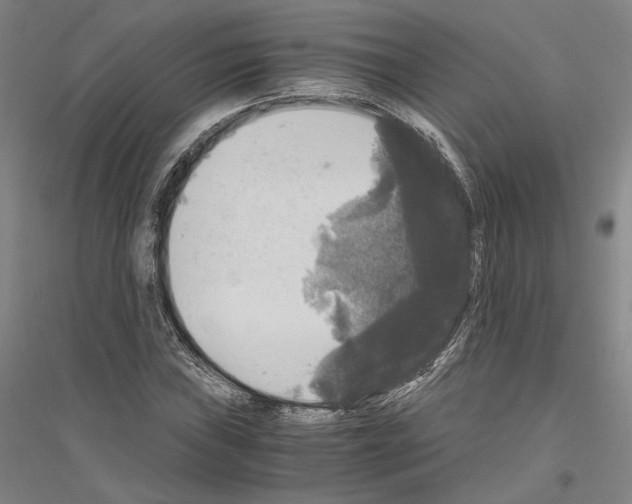 X0000116801019201001291535