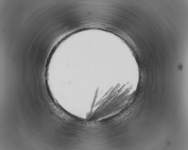 X0000116801020201001291535