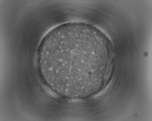 X0000116801021201001291535
