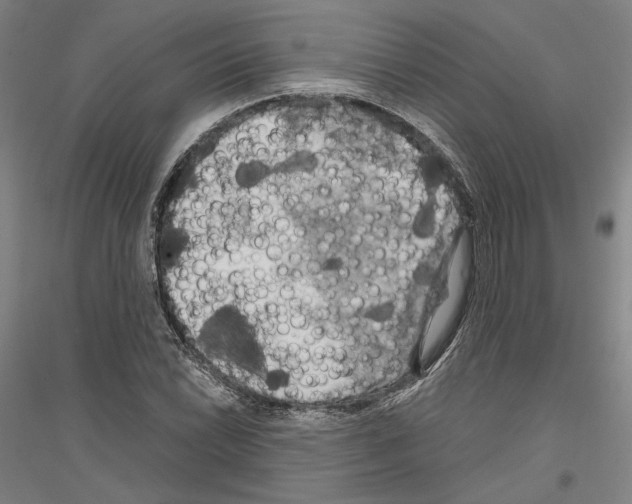 X0000116801022201001291535
