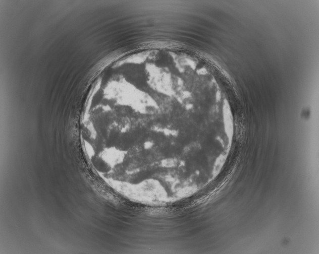 X0000116801025201001291535
