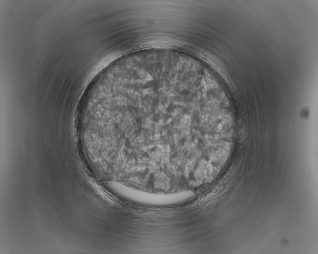 X0000116801026201001291535