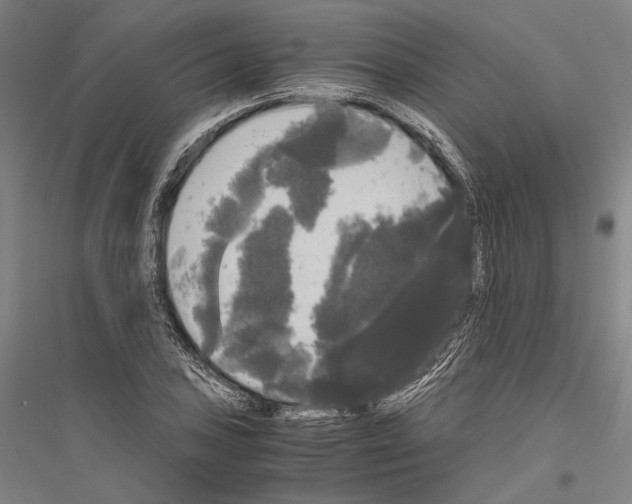 X0000116801027201001291535