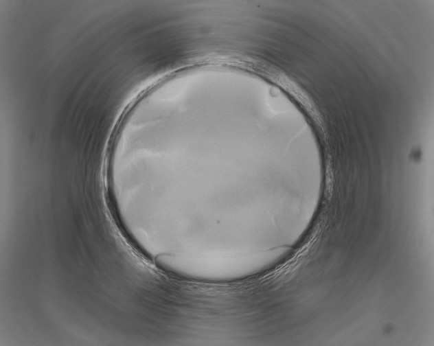 X0000116801028201001291535