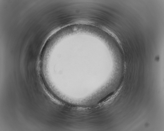 X0000116801029201001291535