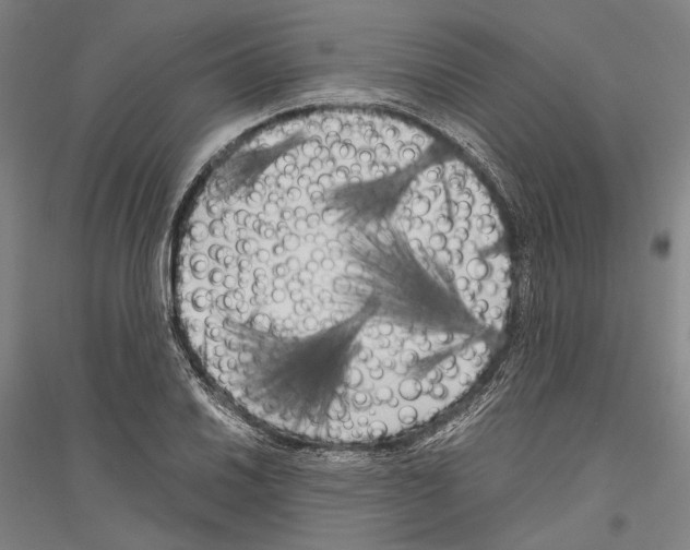 X0000116801030201001291536