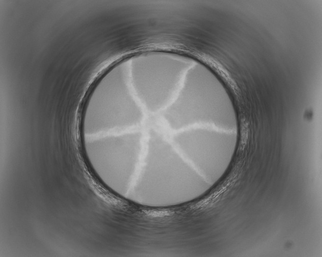 X0000116801031201001291536