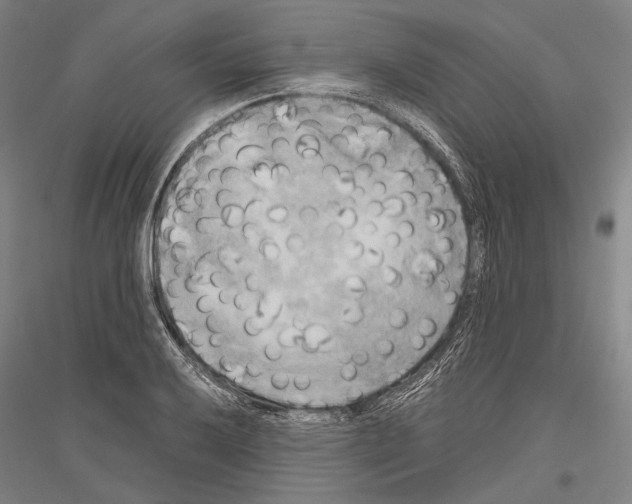 X0000116801032201001291536