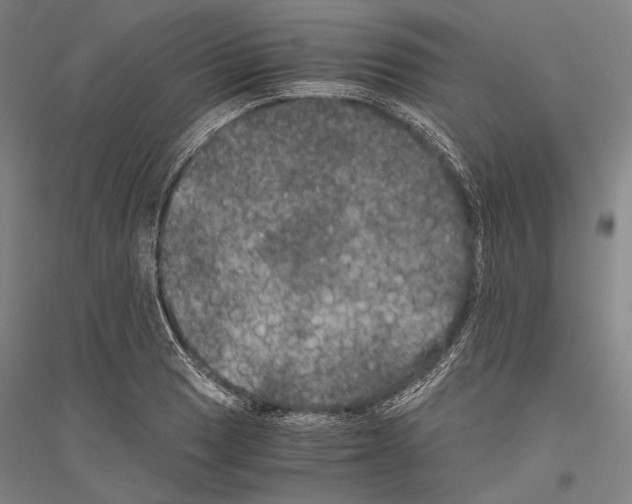 X0000116801033201001291536