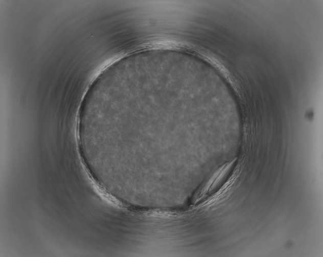 X0000116801034201001291536