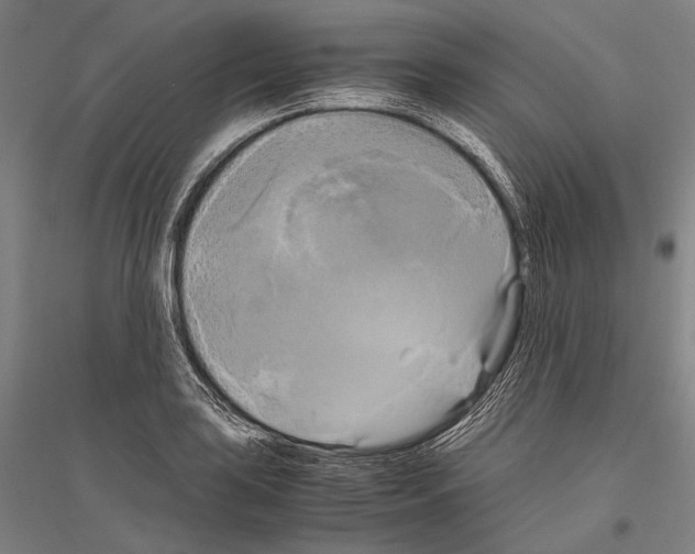 X0000116801035201001291536