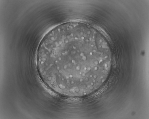 X0000116801036201001291536