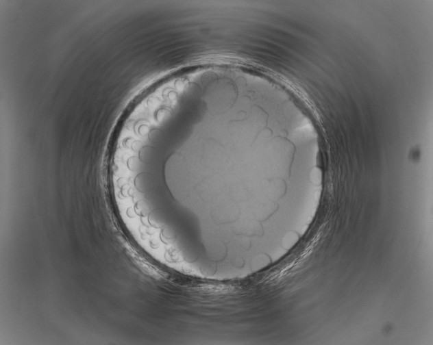 X0000116801037201001291536