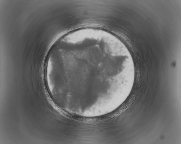 X0000116801038201001291536