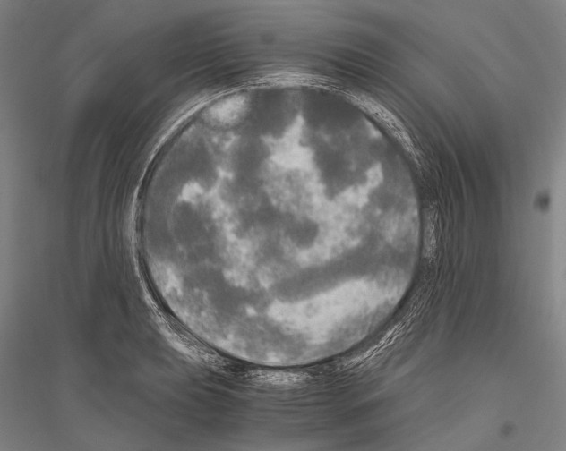 X0000116801039201001291536