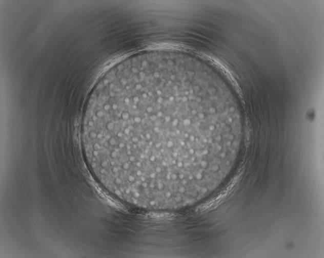 X0000116801041201001291536