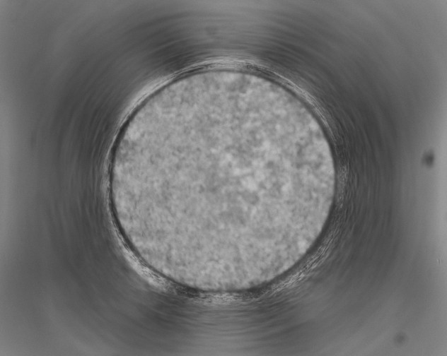 X0000116801042201001291536