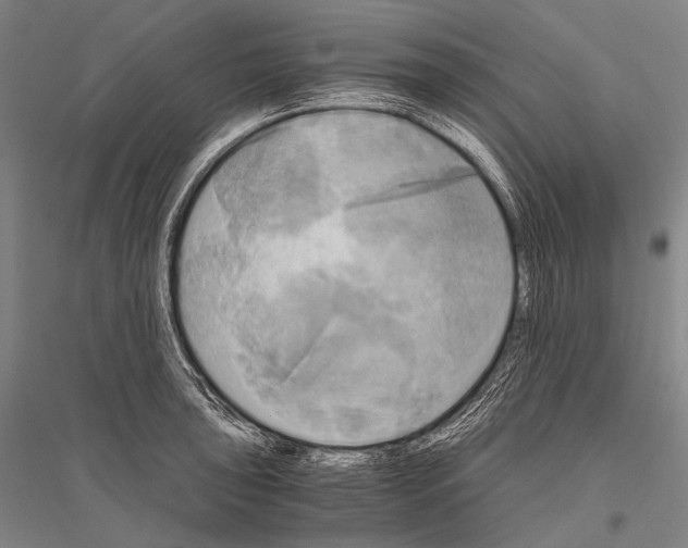 X0000116801043201001291536