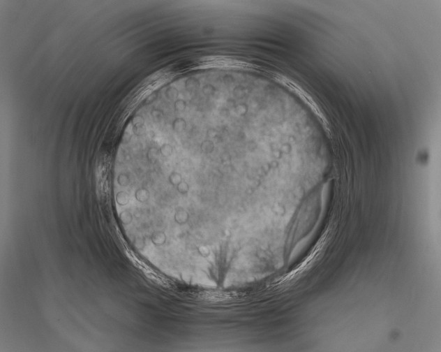 X0000116801049201001291536