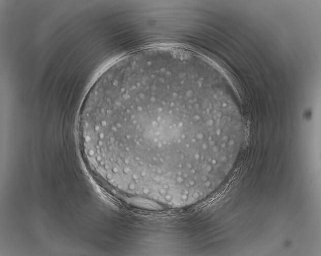 X0000116801050201001291536