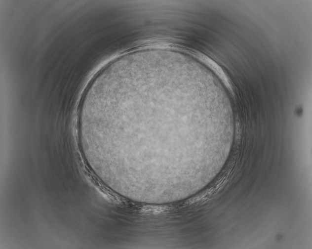 X0000116801051201001291536