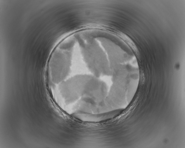 X0000116801052201001291536