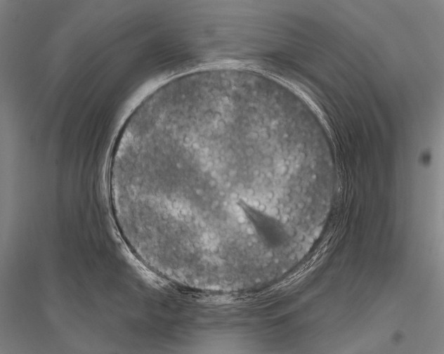 X0000116801054201001291536