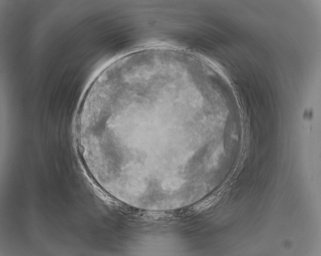 X0000116801056201001291536
