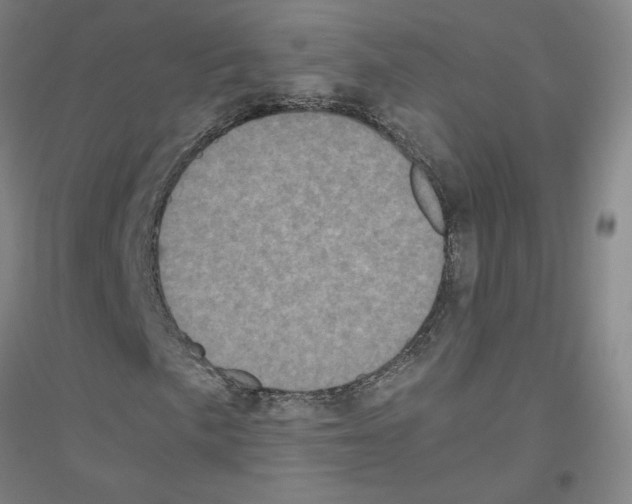 X0000116801057201001291535