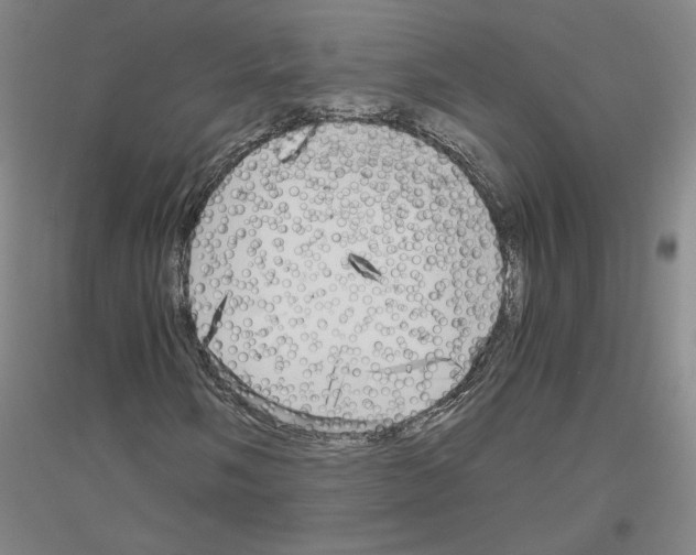 X0000116801058201001291535