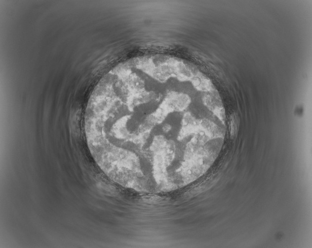 X0000116801059201001291535