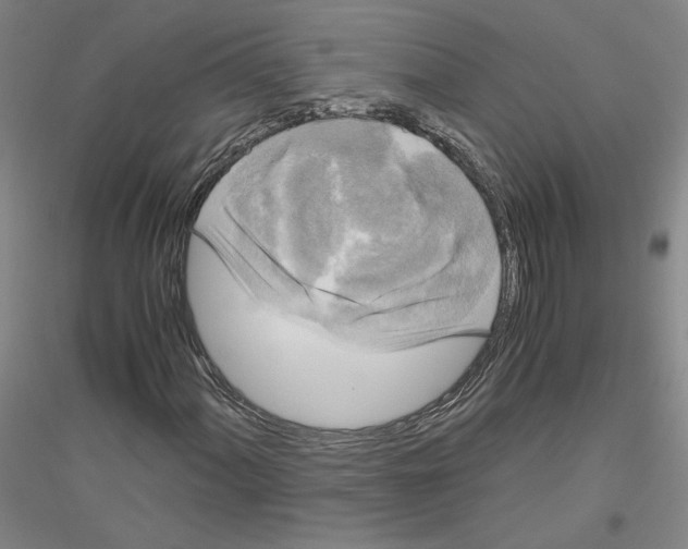 X0000116801060201001291535
