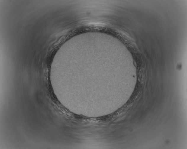 X0000116801061201001291535