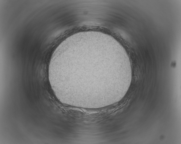 X0000116801062201001291535