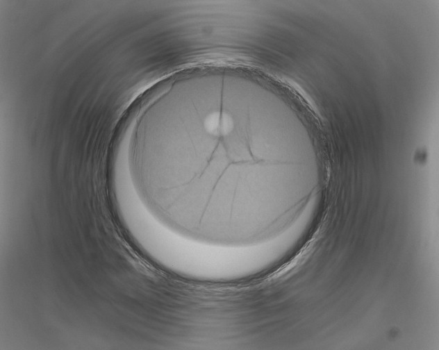 X0000116801065201001291535
